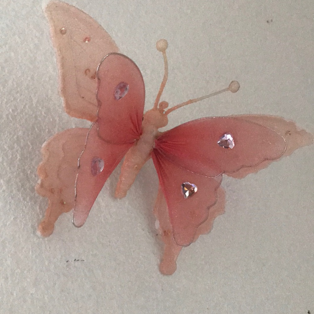 Meet your Posher, Teresa